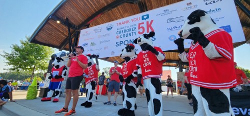Chick-fil-a cows on stage at Cherokee Veterans Park for last year's 5K